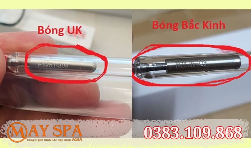 Bảng Giá Tham Khảo Và Ưu Đãi Hấp Dẫn